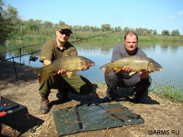 ловим сазана в сентябре на волге ловим сазана в сентябре на волге