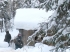 Два человека заживо сгорели в охотничьей постройке