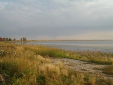 Новые правила для охоты в Курганской области