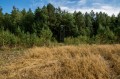 увеличить размер фото