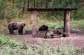 увеличить размер фото