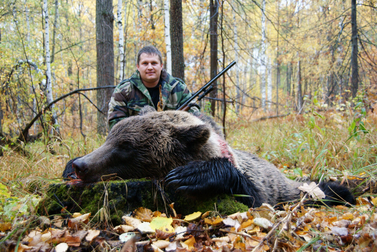 охота на медведя в украине