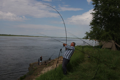 Ловля речного сазана... Stories_rechsazan_foto8