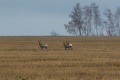 увеличить размер фото