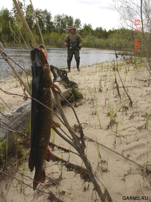 Рыбалка на реке Лямин (ХМАО)           июнь 2007г.