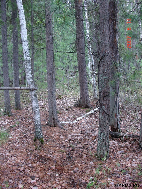 Рыбалка на реке Лямин (ХМАО)           июнь 2007г.