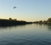 Рыбалка на Нижней Волге сентябрь 2007г.