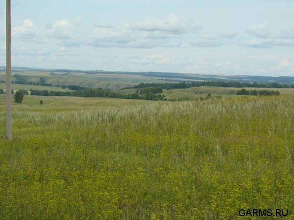 Рыбалка на Нижней Волге июль 2008г.