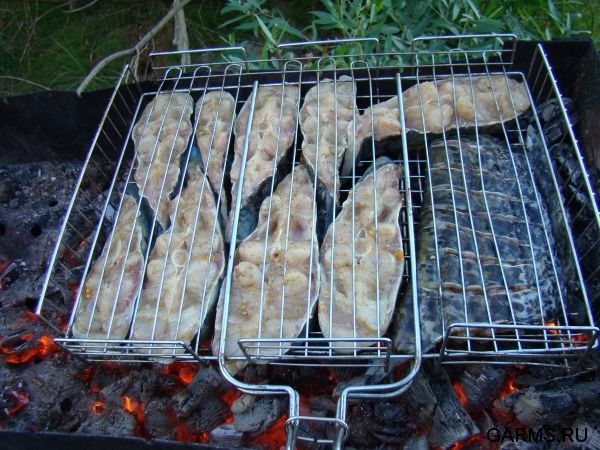 Рыбалка на Волге сентябрь 2009г.
