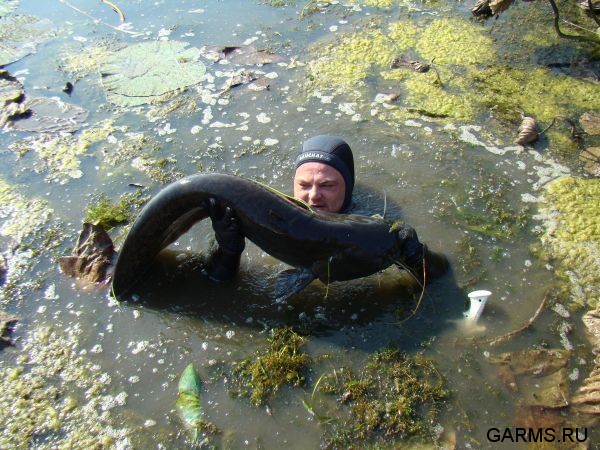 Рыбалка на Волге сентябрь 2009г.