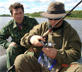 Последние настройки спининга..