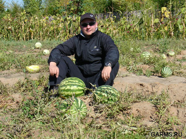 Нижняя Волга. Сентябрь 2007г.