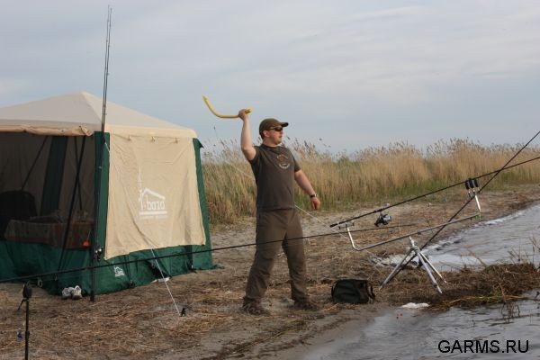 Озеро Бабье(Курганская область) Июнь 2009 г.