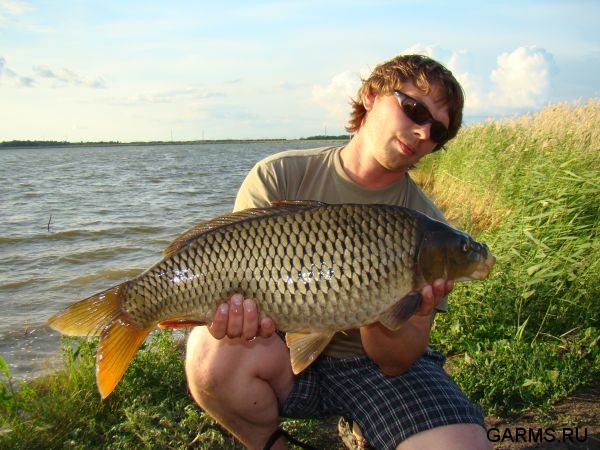 Озеро Монастырское (Курганская область) Июль 2009 г.
