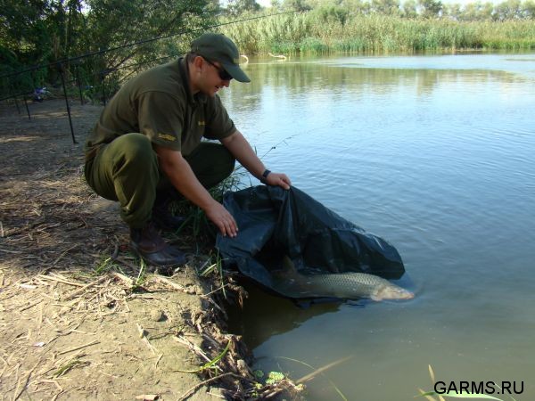 Нижняя Волга сентябрь 2009г.