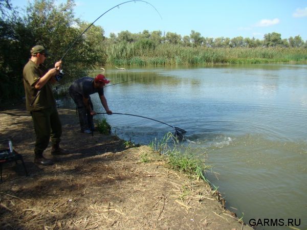 Нижняя Волга сентябрь 2009г.
