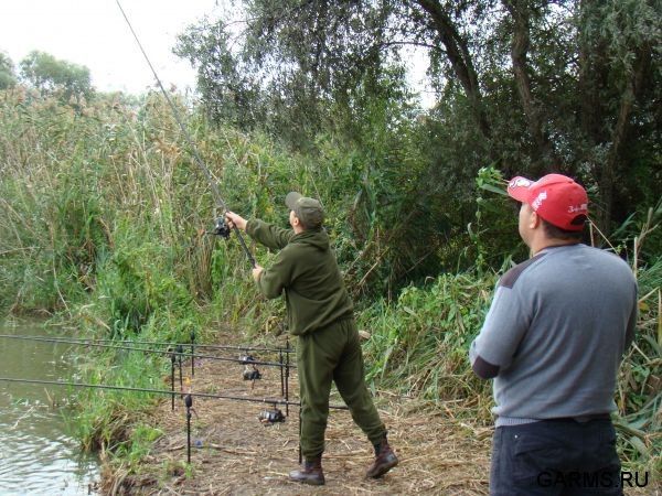 Нижняя Волга сентябрь 2009г.