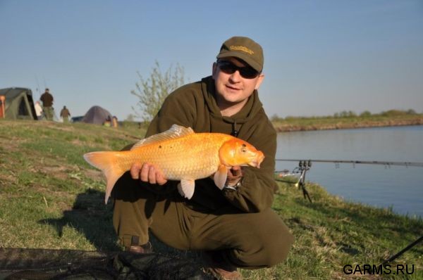 Озеро Серебряное май 2010 г.