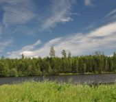Кубок Урала 2010 г.