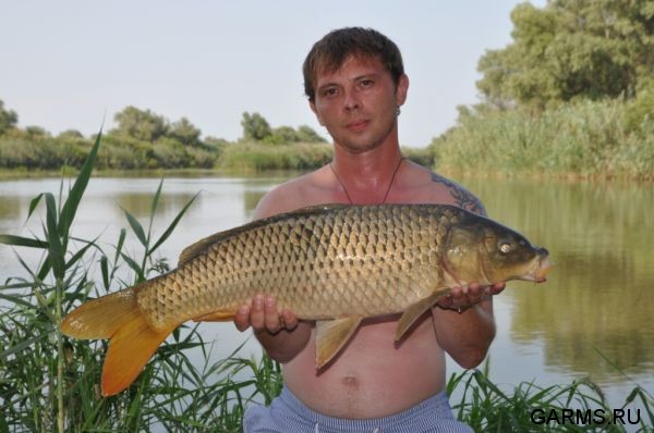 Нижняя Волга. август 2010 г.
