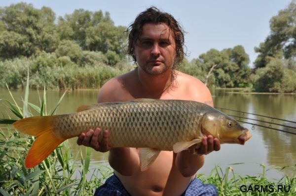 Нижняя Волга. август 2010 г.