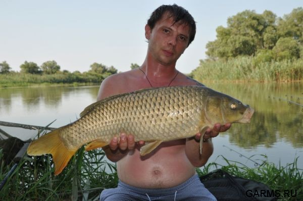 Нижняя Волга. август 2010 г.