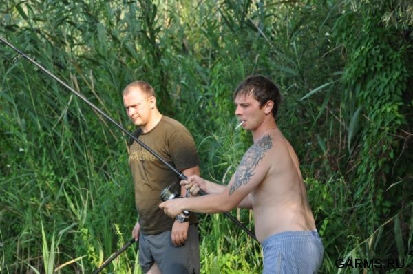 Нижняя Волга. август 2010 г.