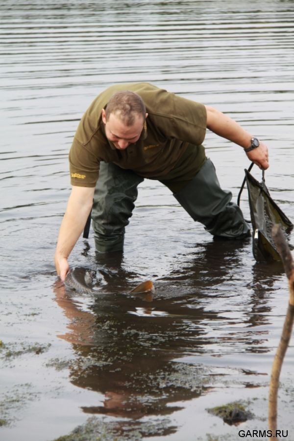 Кубок  Регионов 2010 г.