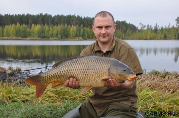 Кубок  Регионов 2010 г.