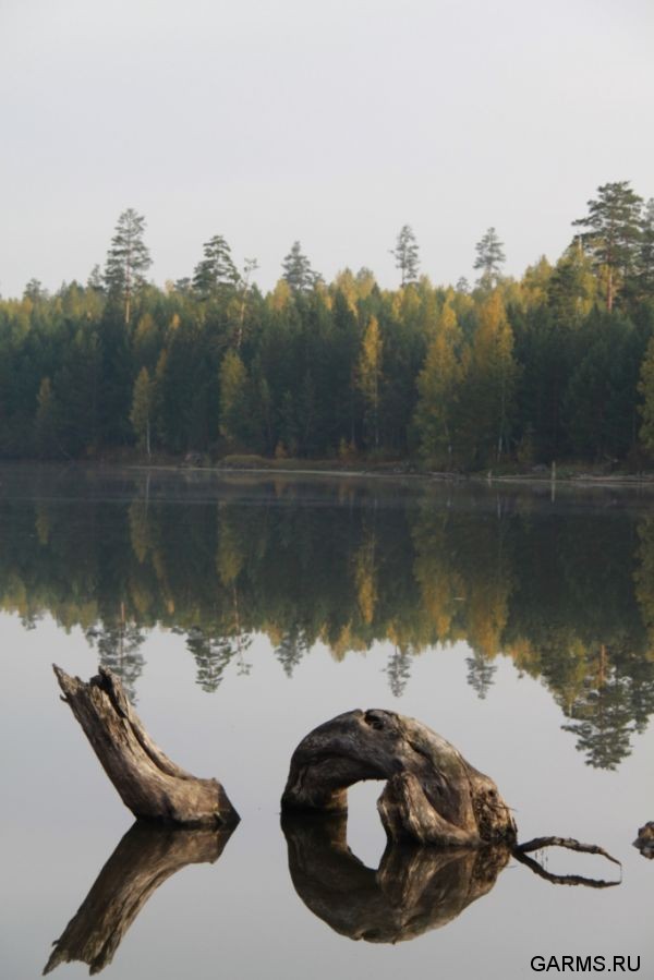Кубок  Регионов 2010 г.