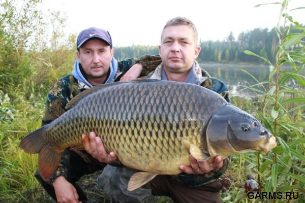 Кубок  Регионов 2010 г.