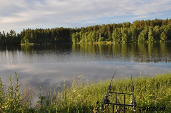 Кубок Регионов 2011 г.