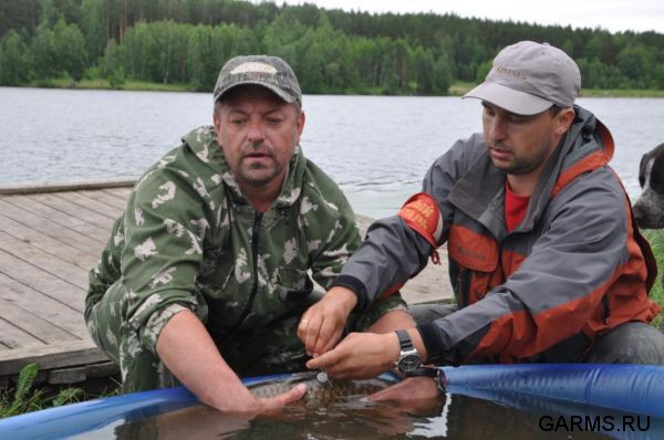 Кубок Регионов 2011 г.