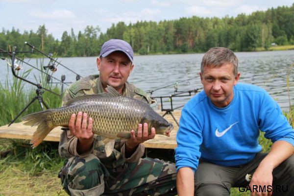 Чемпионат России 2011 г.
