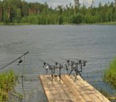 Чемпионат России 2011 г.