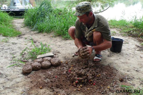 Нижняя Волга август 2012 г.