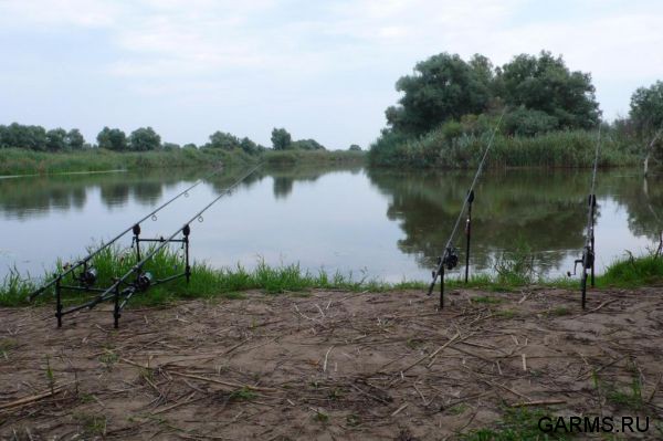 Нижняя Волга август 2012 г.