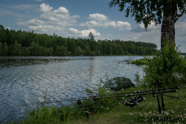 Чемпионат Чел.Обл. июль 2014 г.