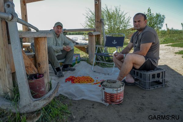 Ловля сазана.Балхаш Казахстан август 2014 г.