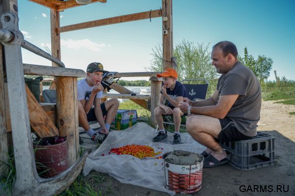 Ловля сазана.Балхаш Казахстан август 2014 г.