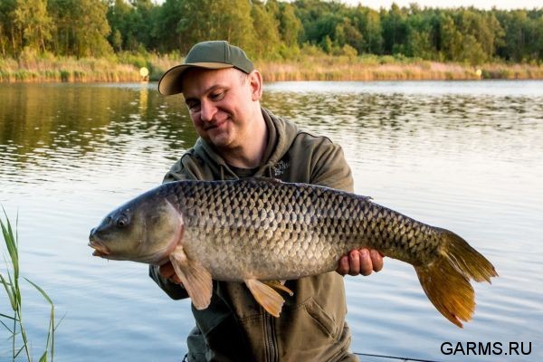 Кабаньи Пруды июнь 2019 г.