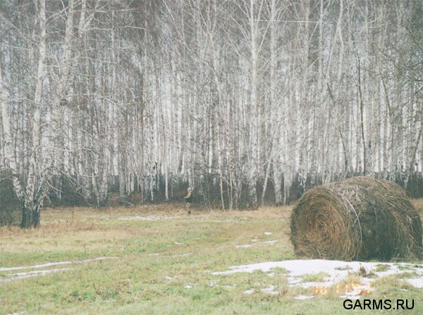 В лесу на номере