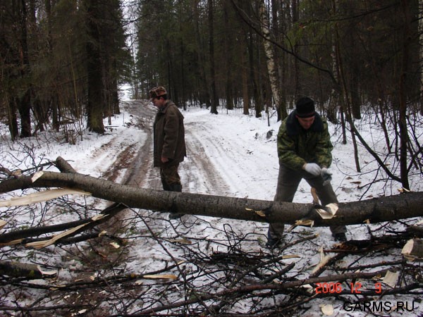 Лось навалил нам деревьев на дорогу, но нас и это не остановило!