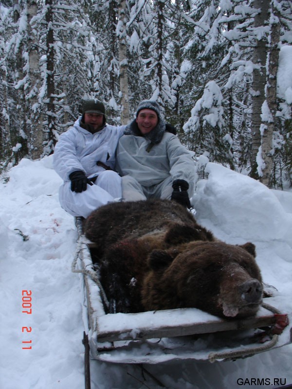 Охота на медведя на берлоге февраль 2007г.  (Республика Коми)