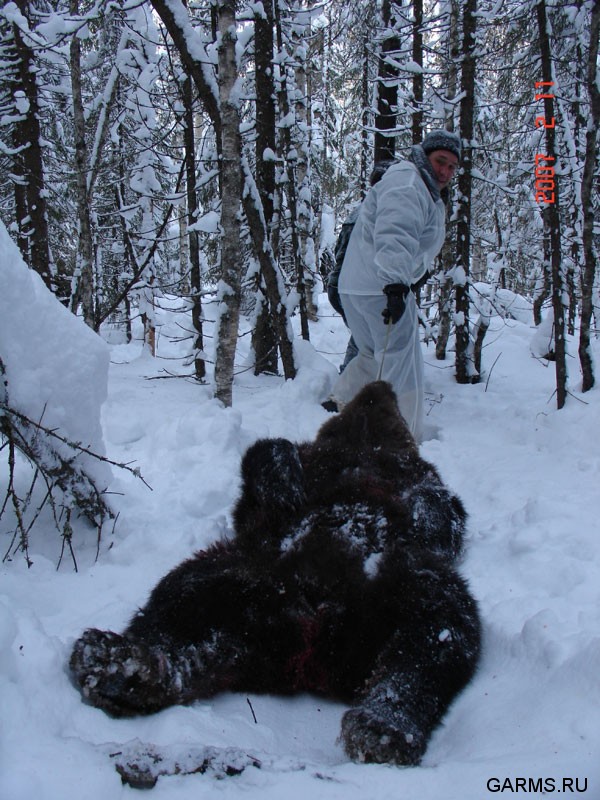 Охота на медведя на берлоге февраль 2007г.  (Республика Коми)