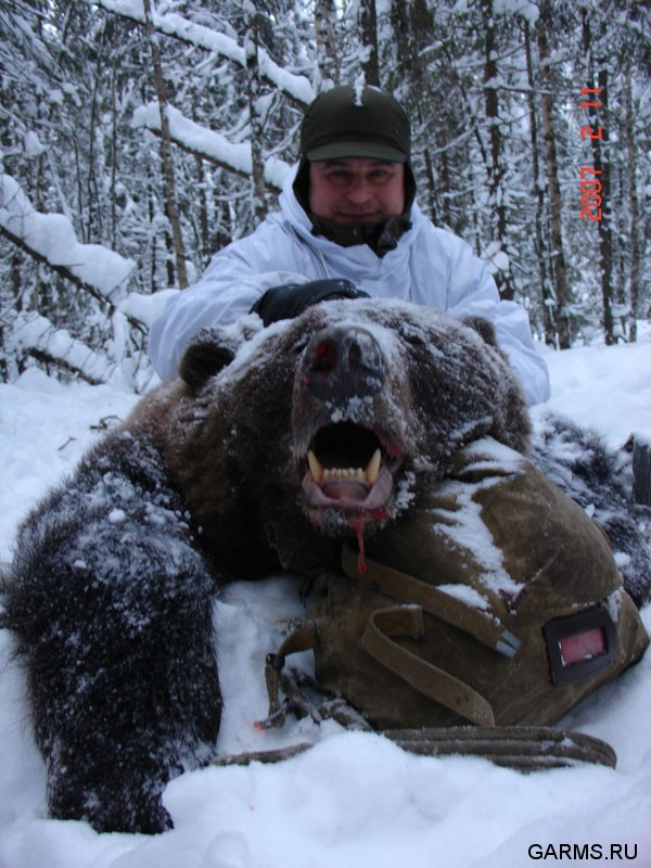 Охота на медведя на берлоге февраль 2007г.  (Республика Коми)
