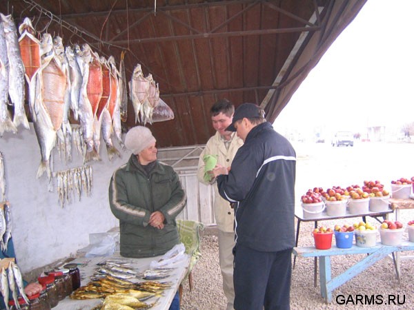 Охота на козерога март 2007 (Киргизия)