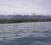 Охота на козерога март 2007 (Киргизия)