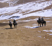 Охота на козерога март 2007 (Киргизия)