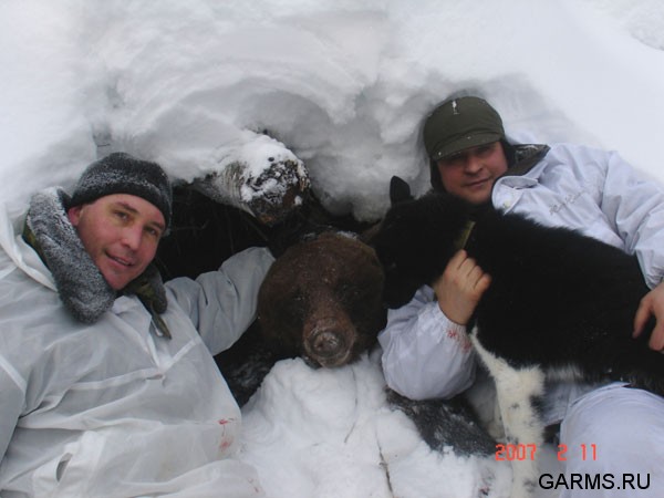 Охота на медведя на берлоге февраль 2007г.  (Республика Коми)